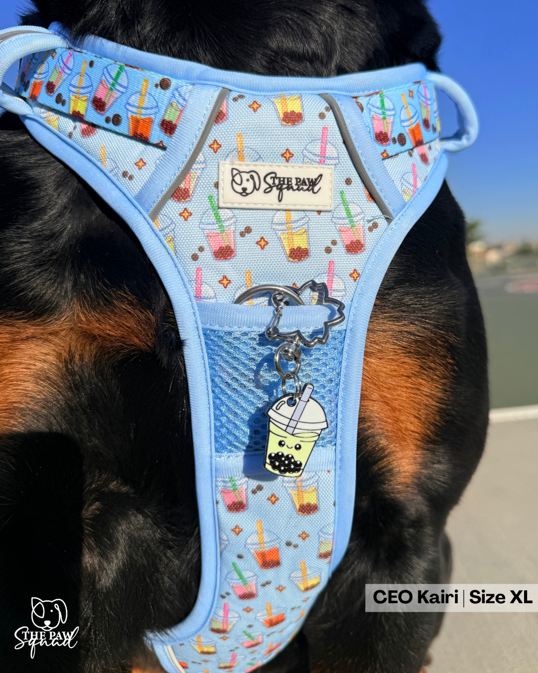 Totally Tapioca Pet Tag