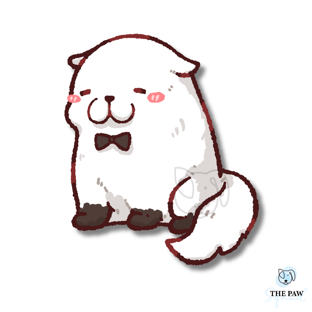 Spy x Family Stickers (Set/Individual)