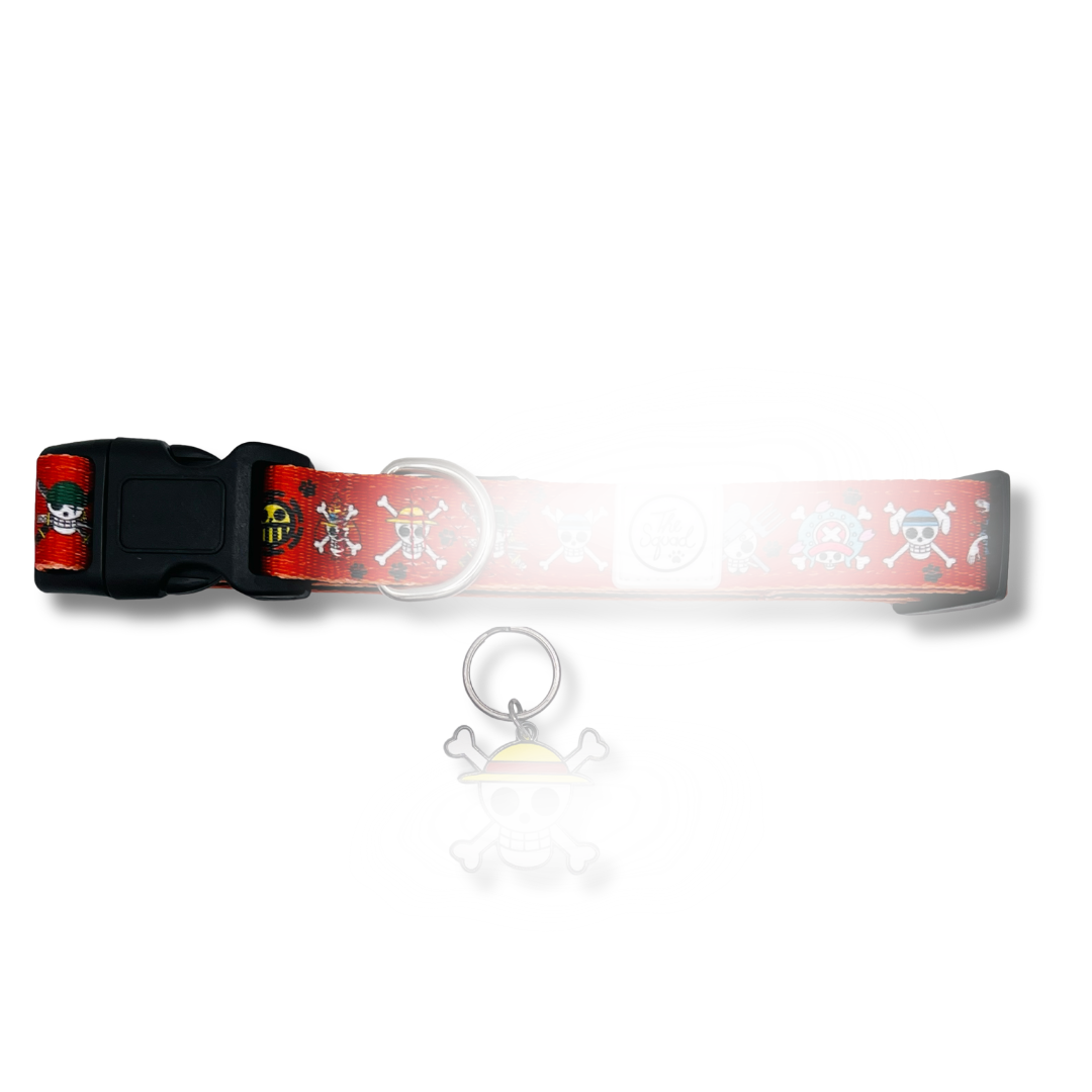 Pirate Hunter Dog Collar + Tag Bundle