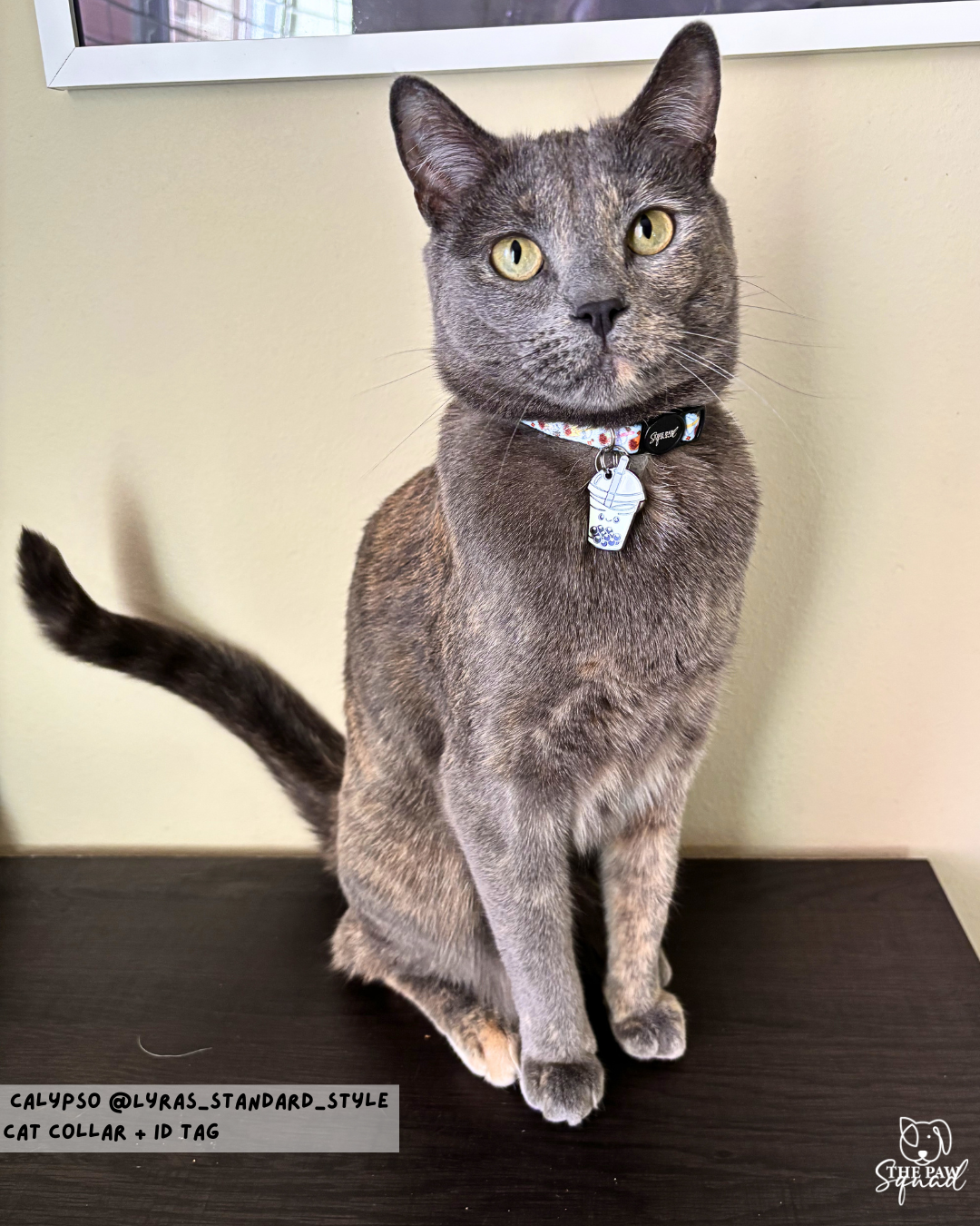 Totally Tapioca Cat Collar
