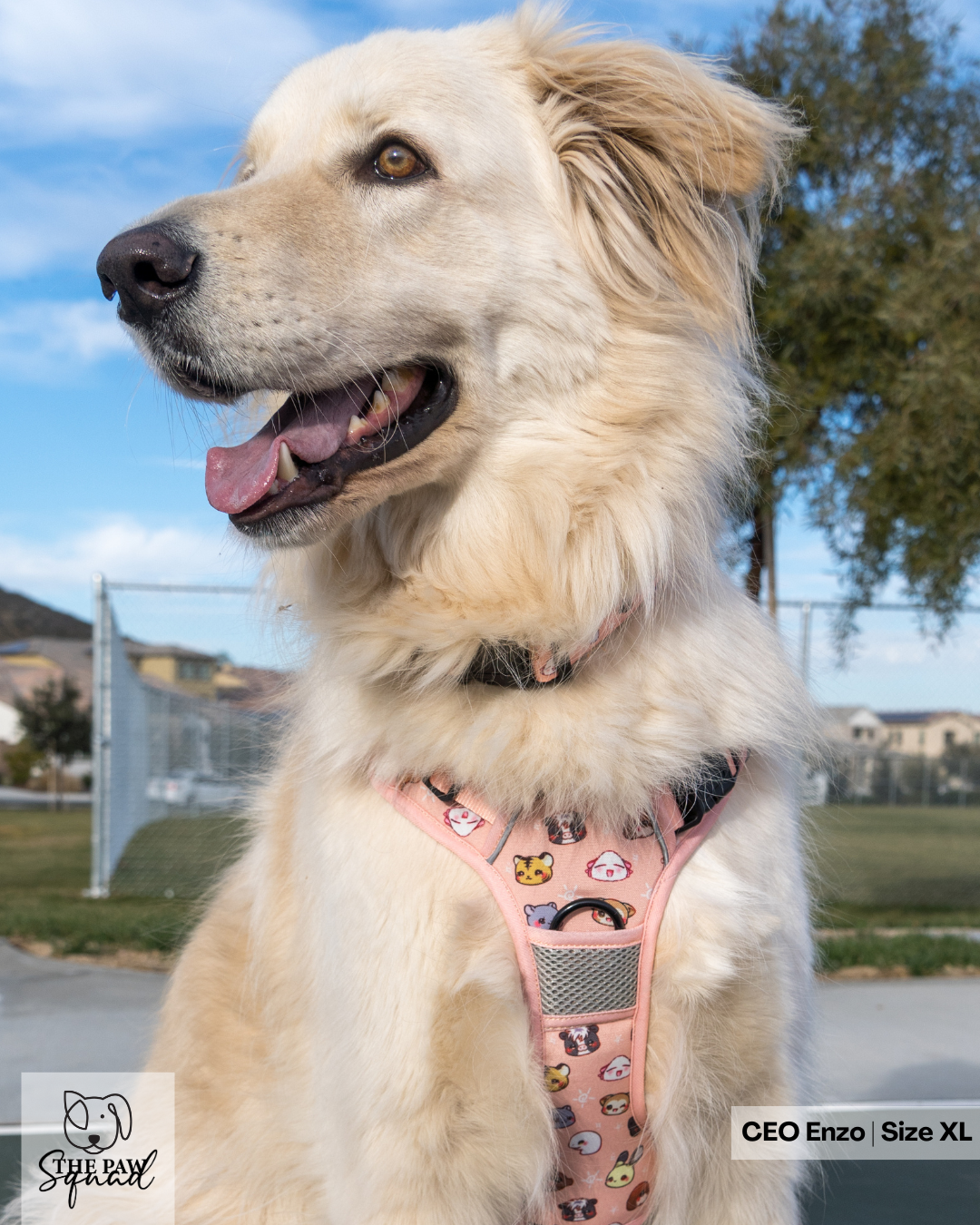 Zodiac No Pull Harness Bundle