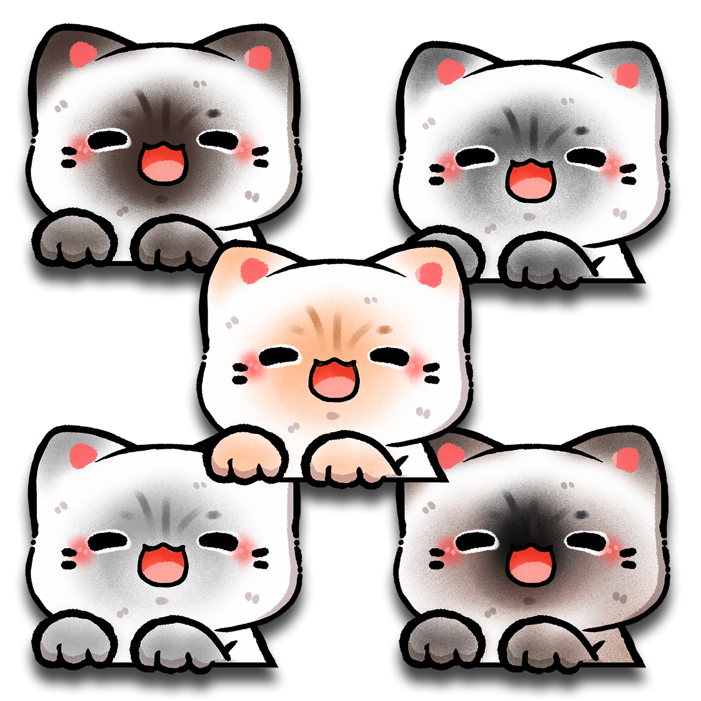 Siamese Peeker Sticker