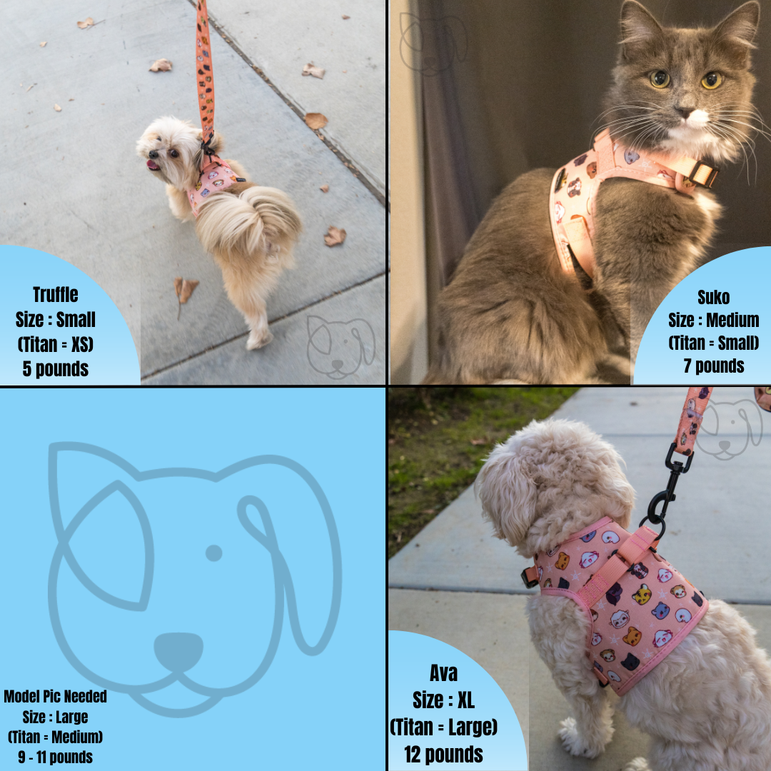 Titan Vest Harness (For Cat / Small Breed Dog)