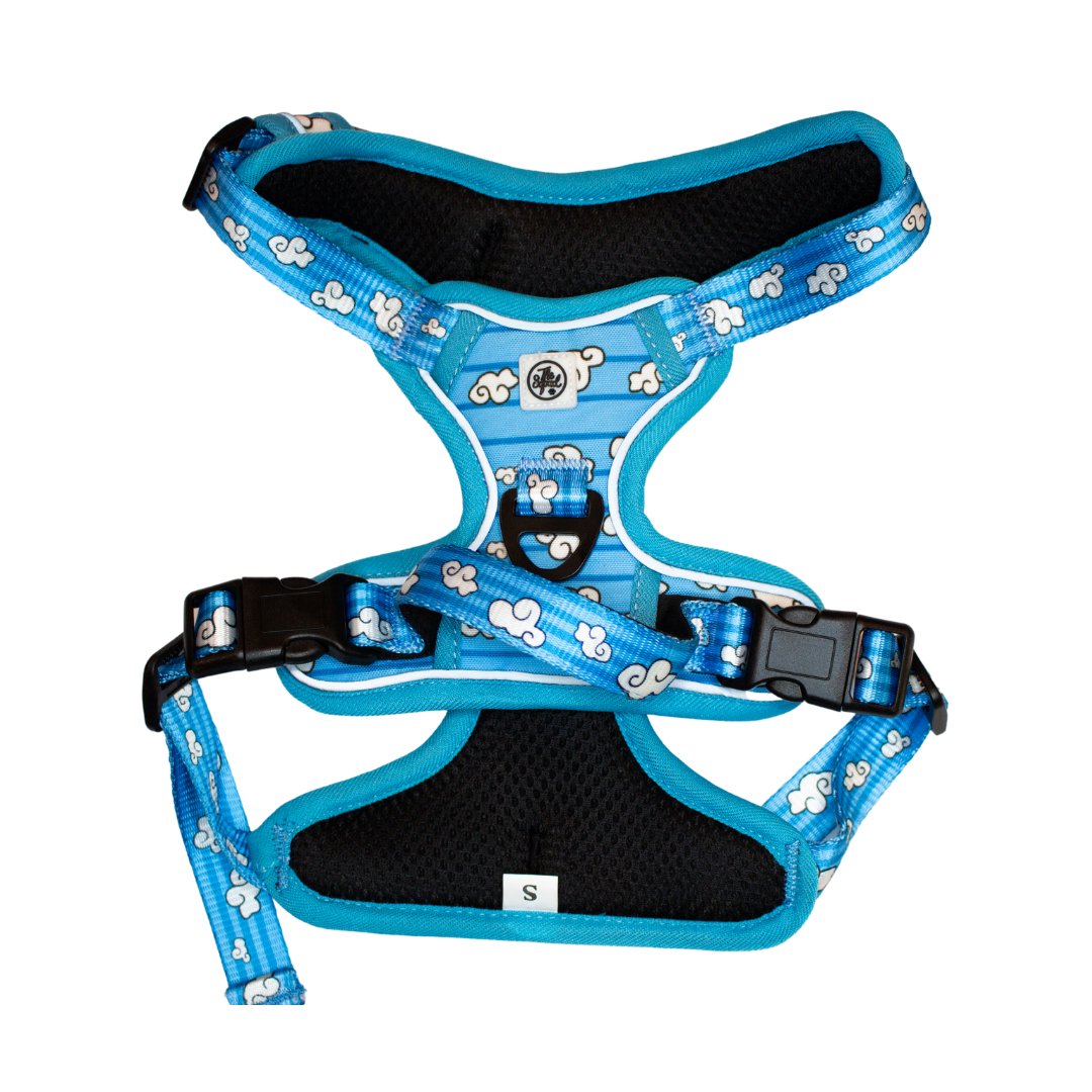 Day Dreaming Cloud No Pull Harness