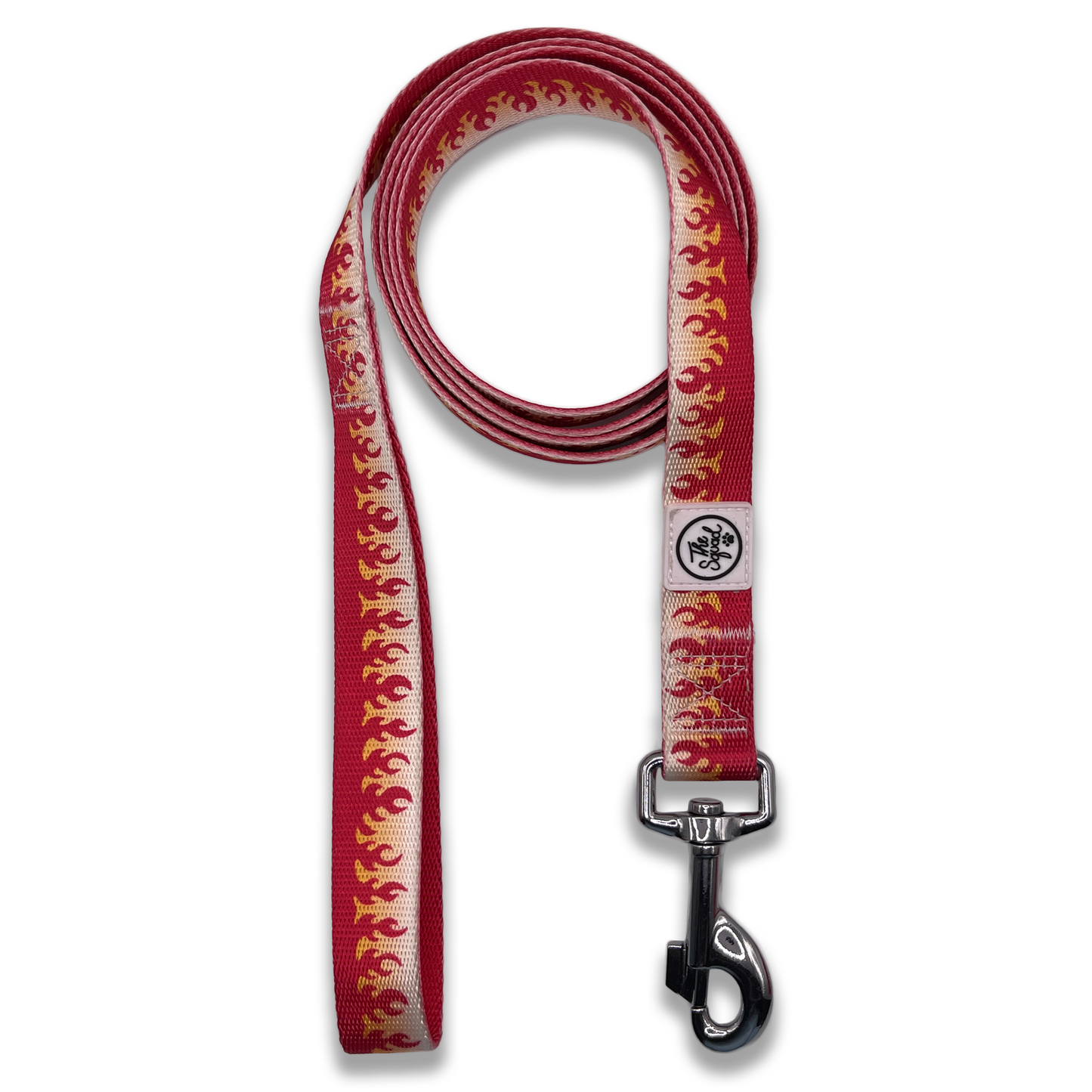 Ablaze Pet Leash