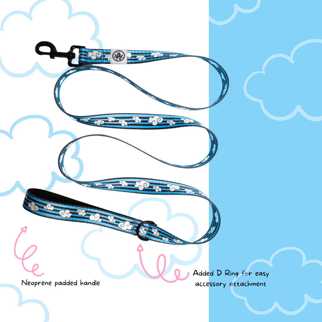 Day Dreaming Cloud Pet Leash - The Paw Squad