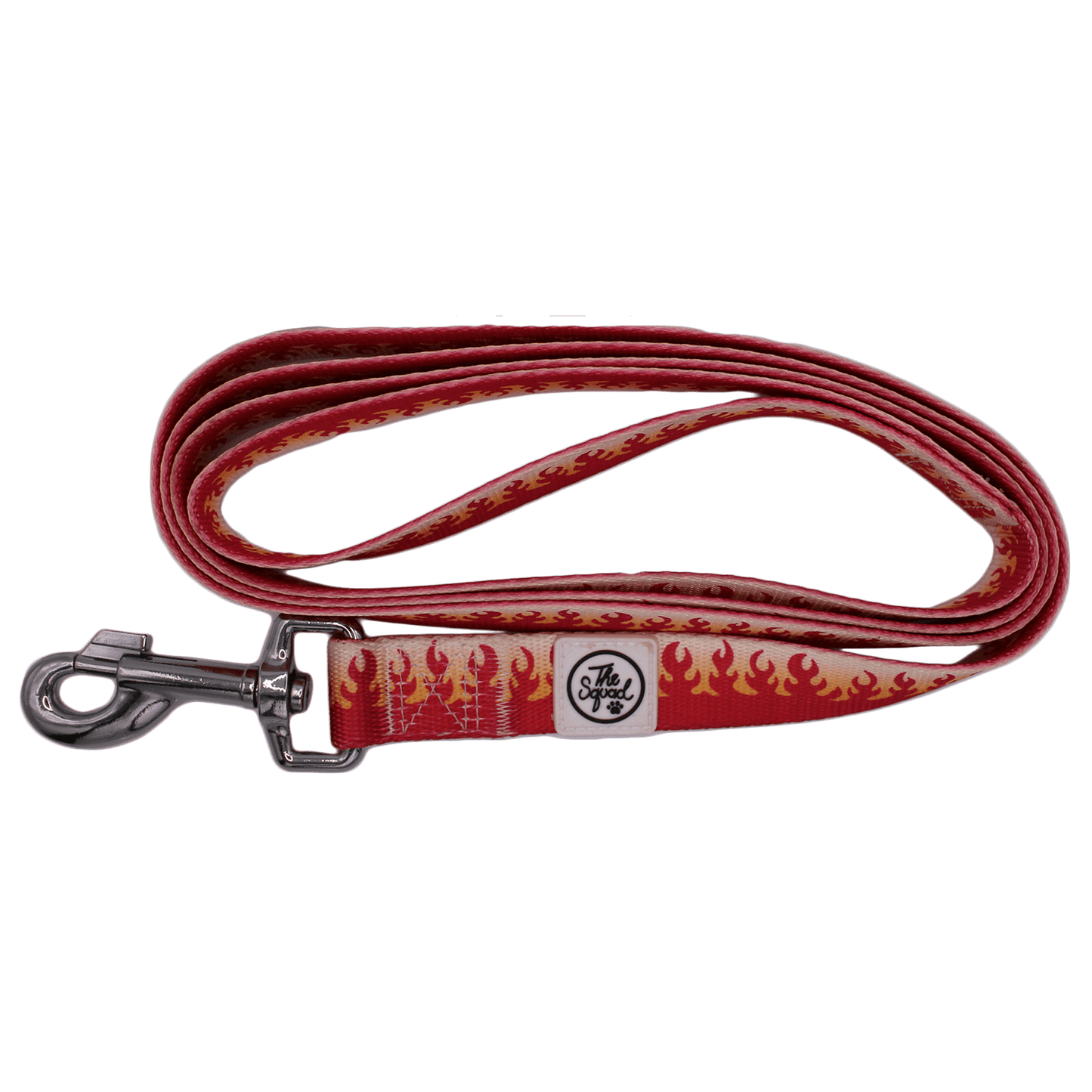 Ablaze Pet Leash - The Paw Squad