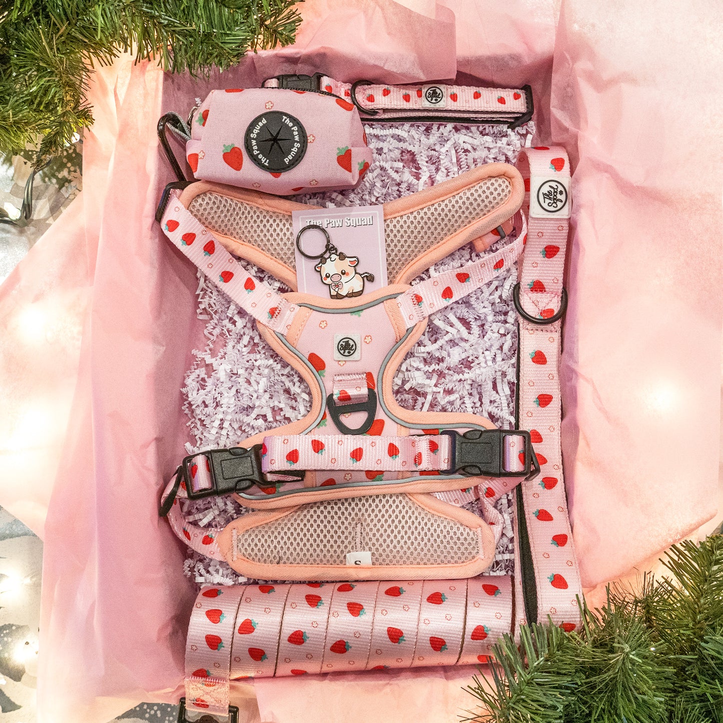 Strawberry Sweet No Pull Harness Bundle