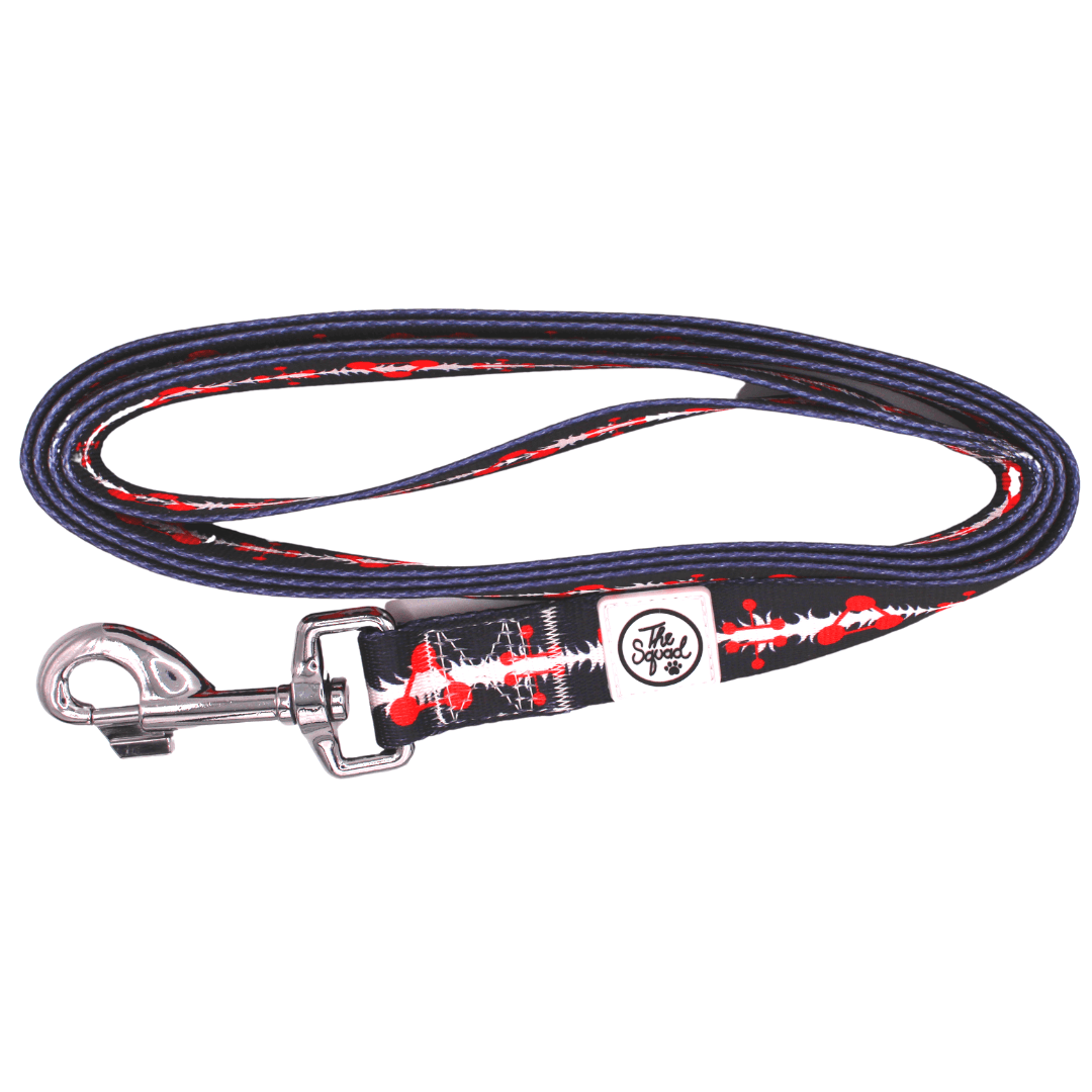 Divine Pet Leash - The Paw Squad