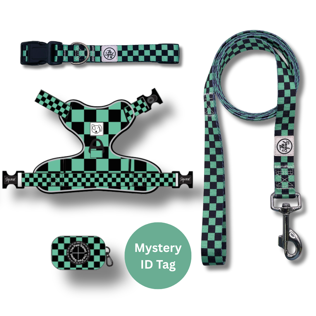 Ichimatsu No Pull Harness Bundle