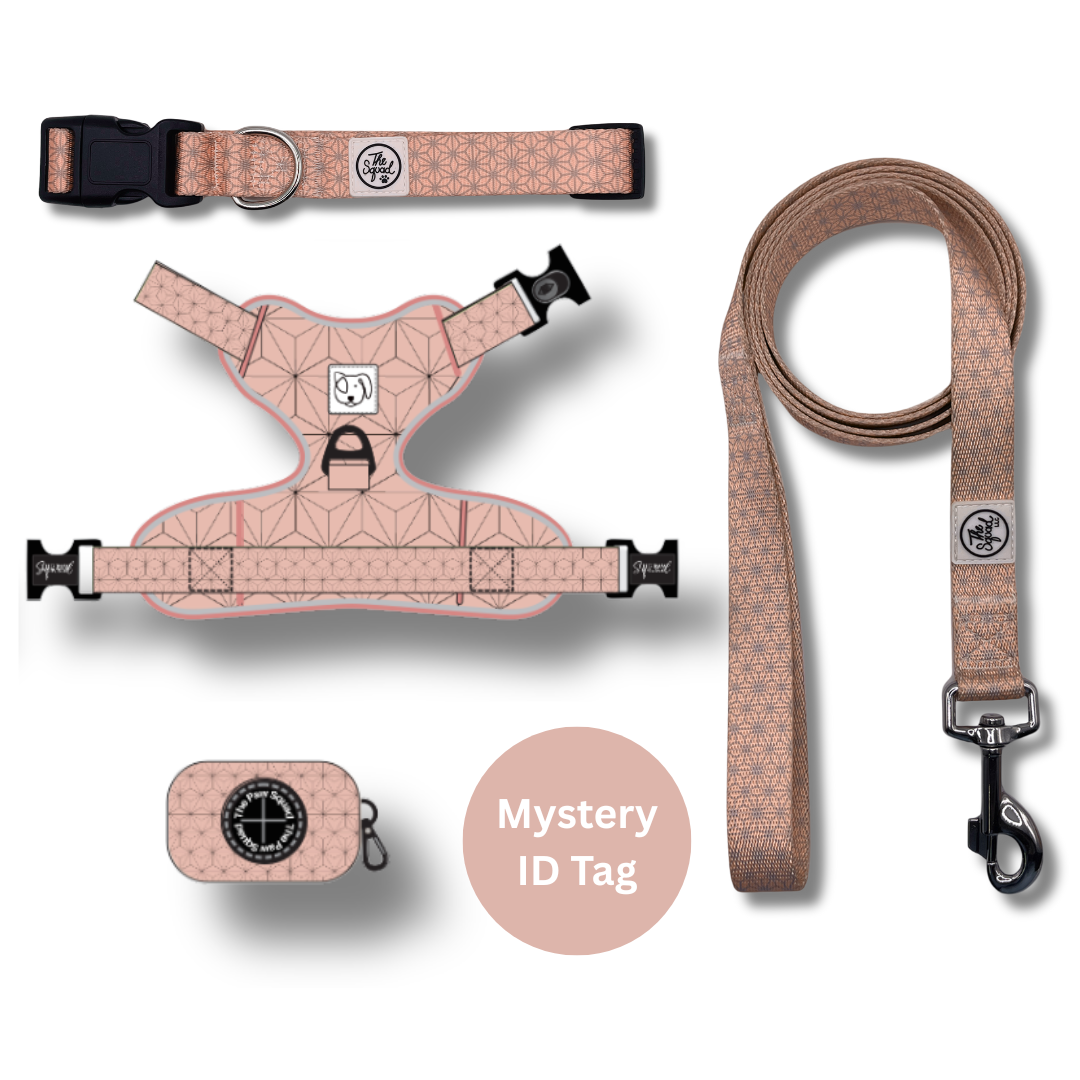 Pink Asanoha No Pull Harness Bundle