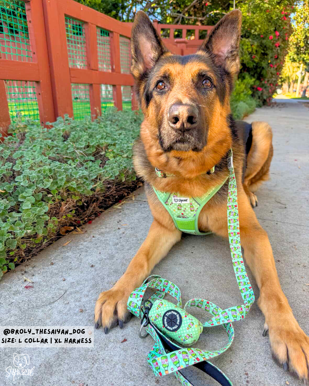 Soju Paws No Pull Harness