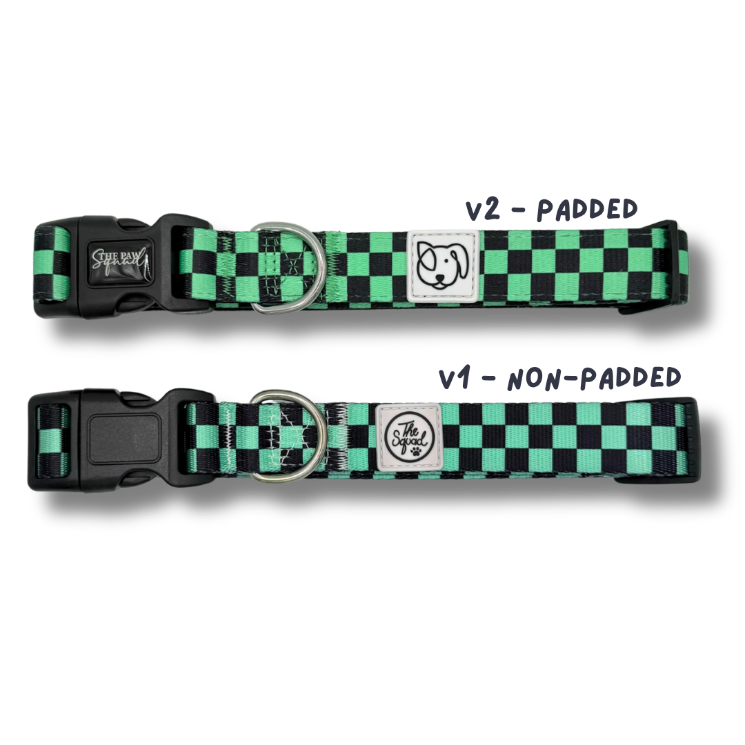Ichimatsu Dog Collar
