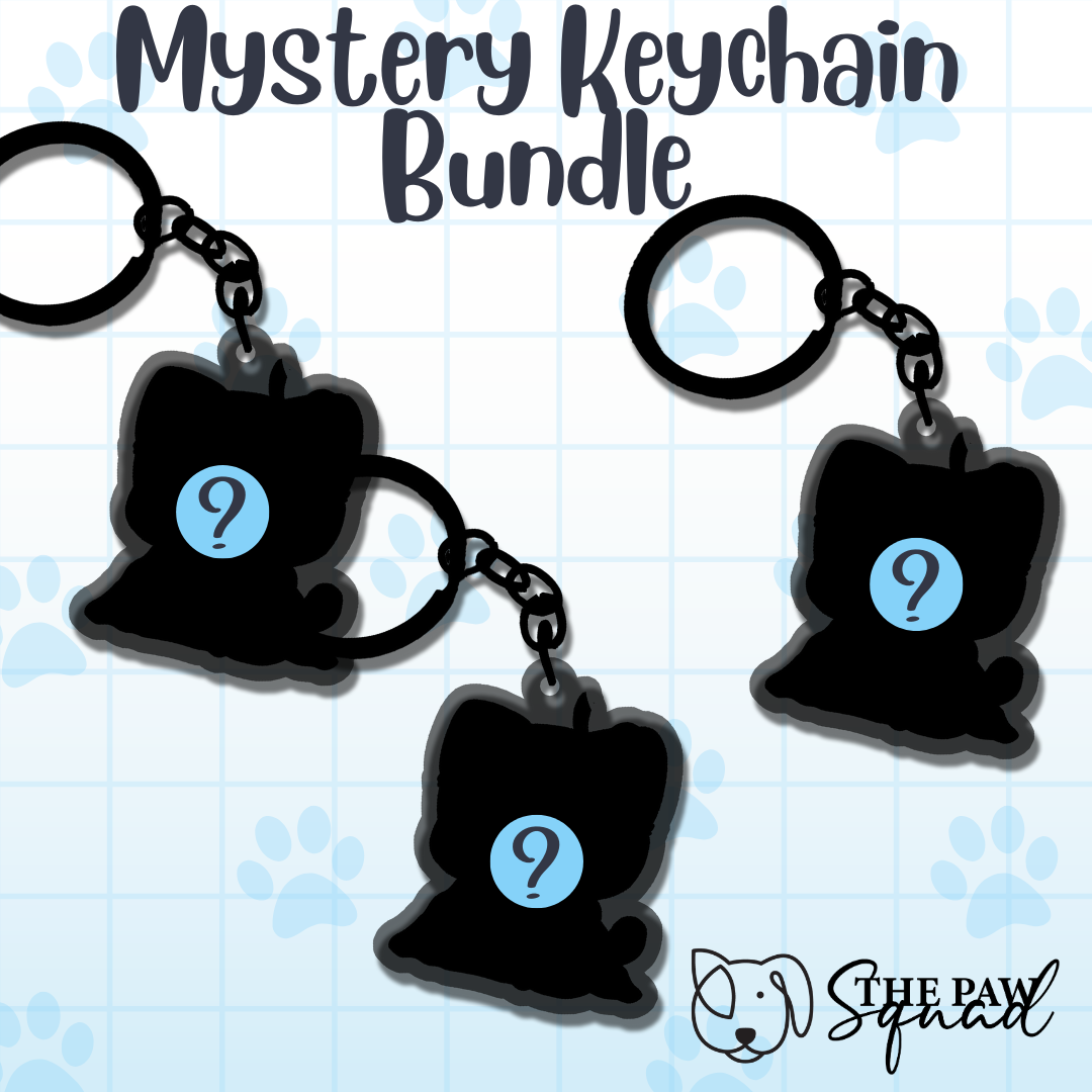 Mystery Keychain Bundle