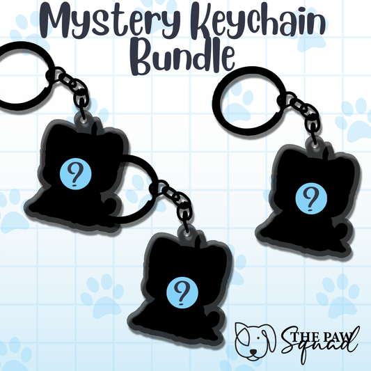Mystery Keychain Bundle