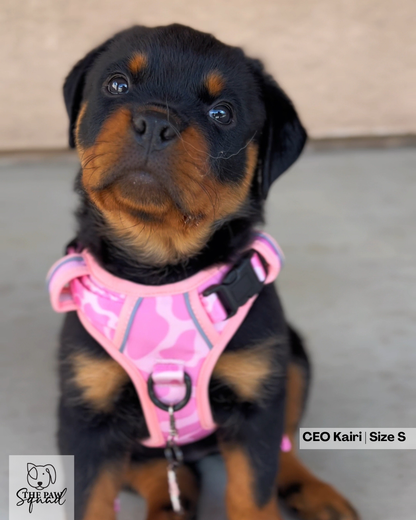 Strawberry Milk No Pull Harness Bundle