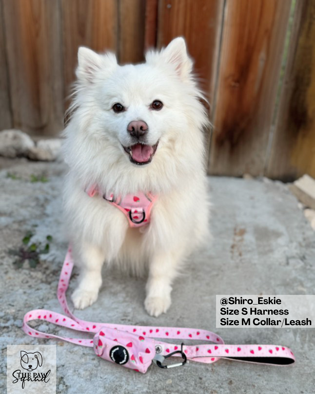 Strawberry Sweet No Pull Harness