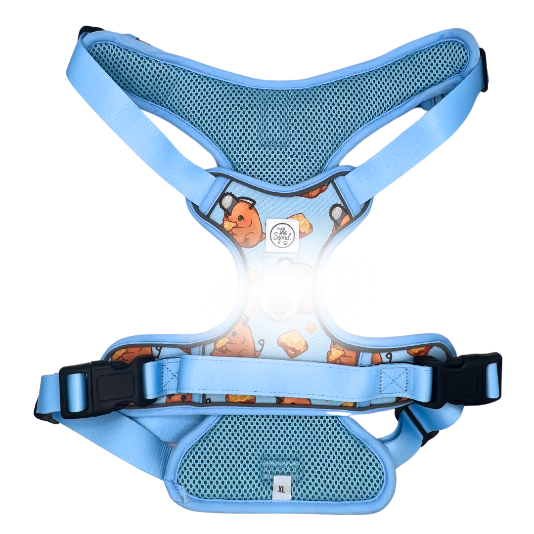 Toasty No Pull Harness