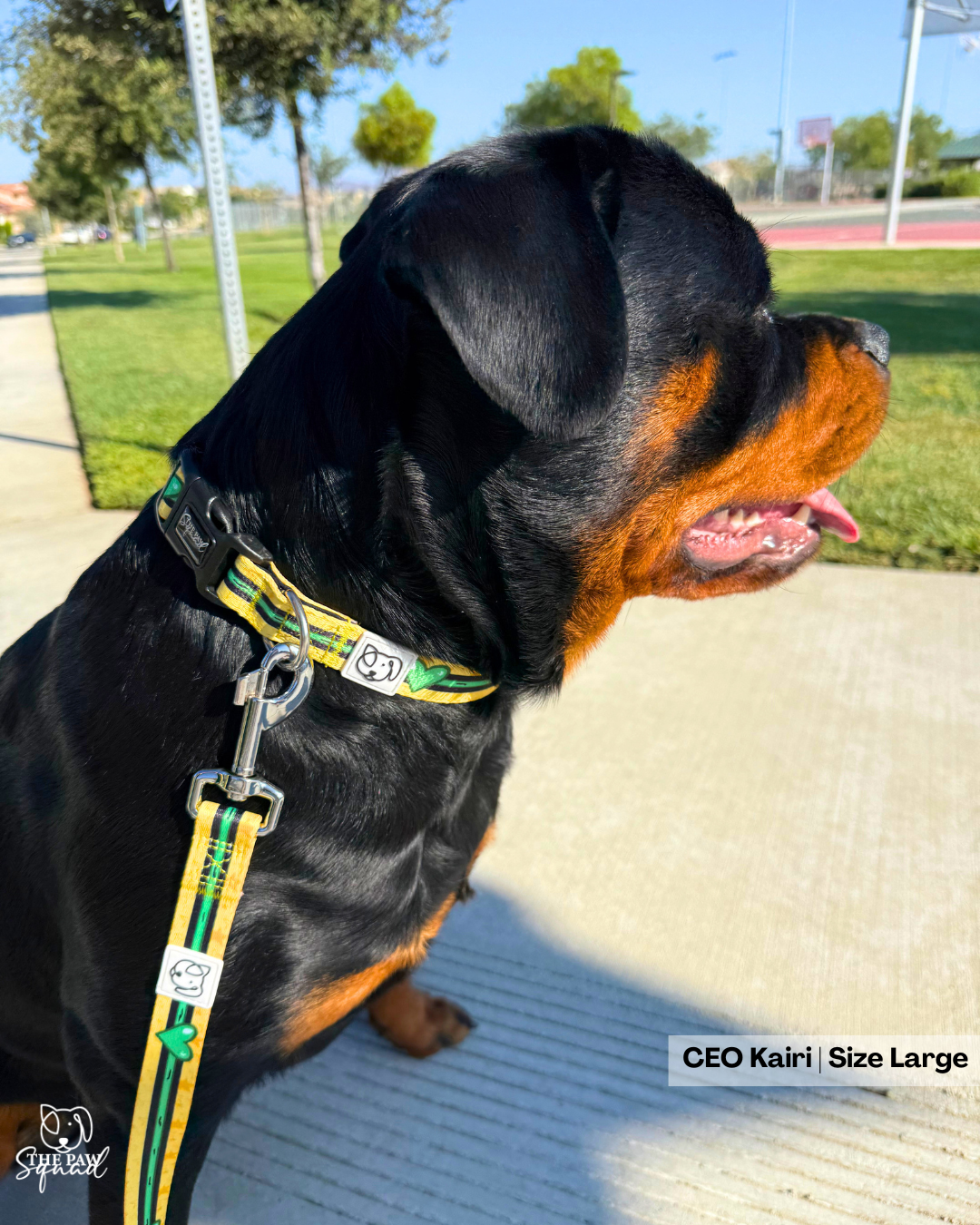 The Nemesis Dog Collar