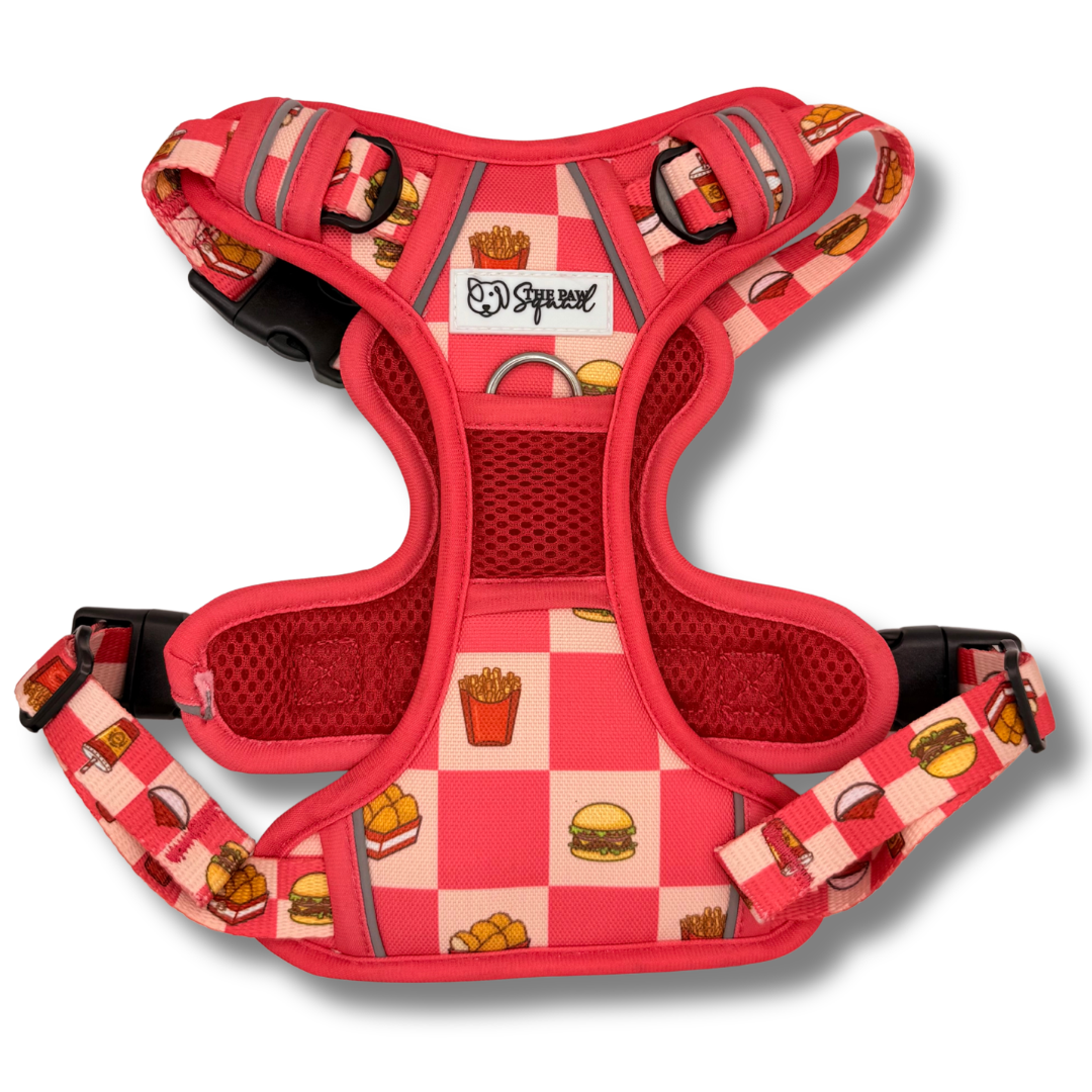 Paws n Patties No Pull Harness