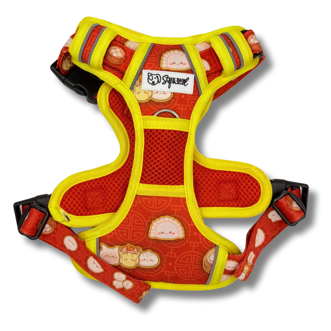 All That and Dim Sum No Pull Harness