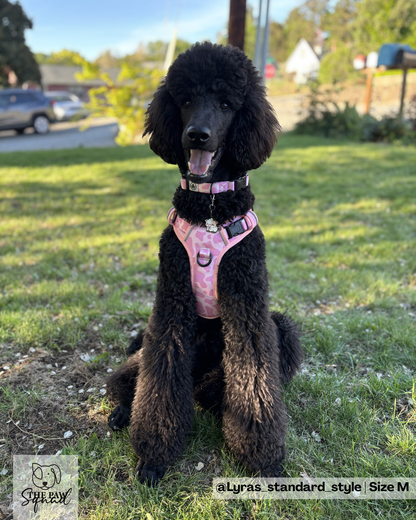 Strawberry Milk No Pull Harness Bundle