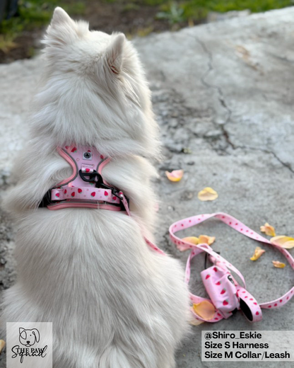 Strawberry Sweet No Pull Harness Bundle
