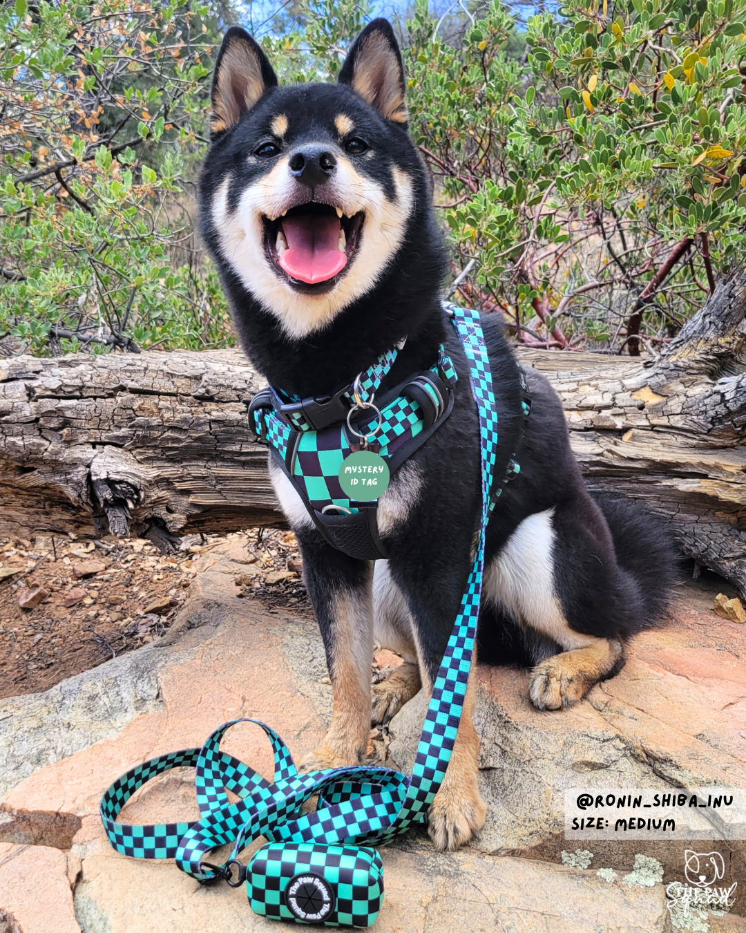 Ichimatsu No Pull Dog Harness