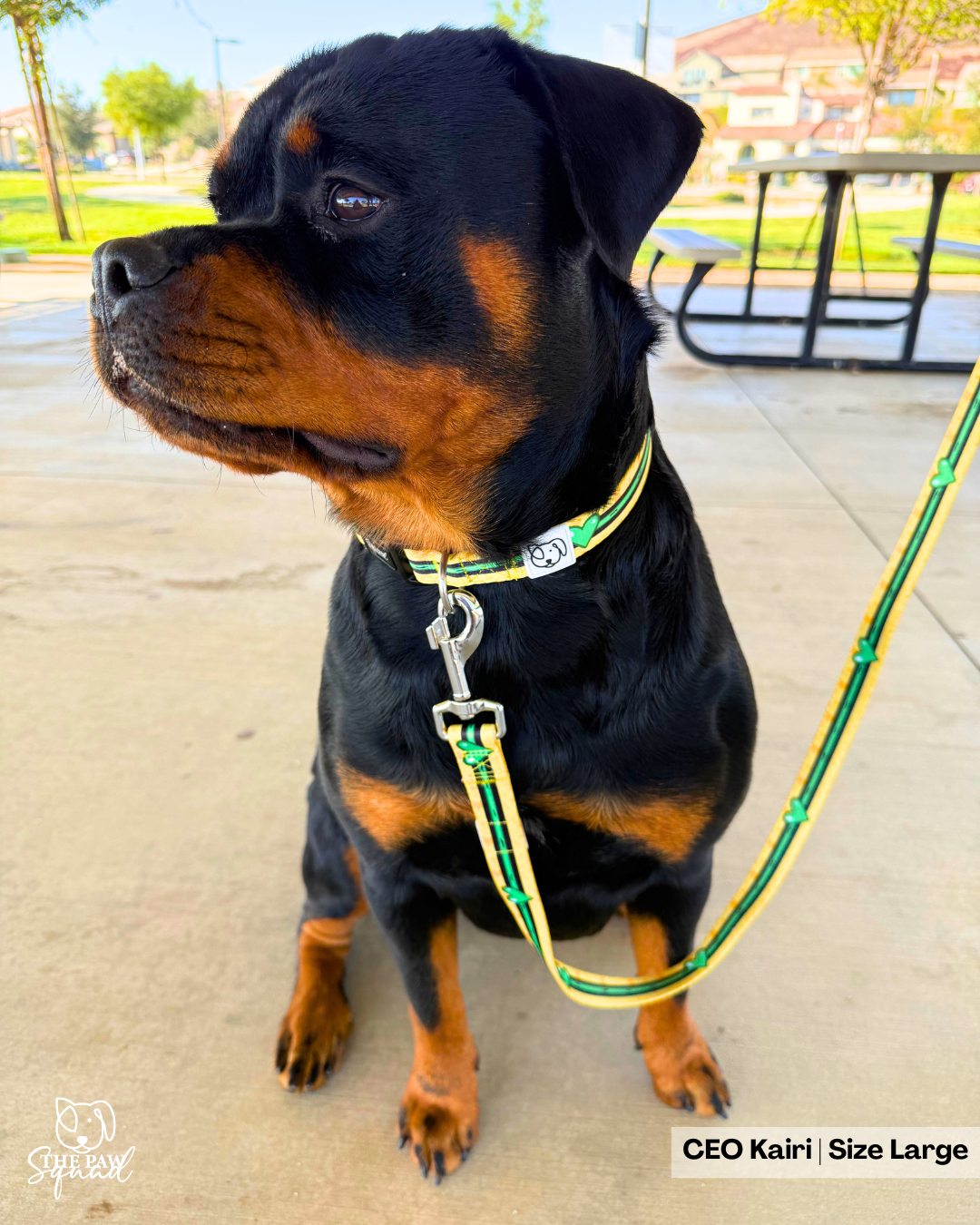 The Nemesis Dog Collar