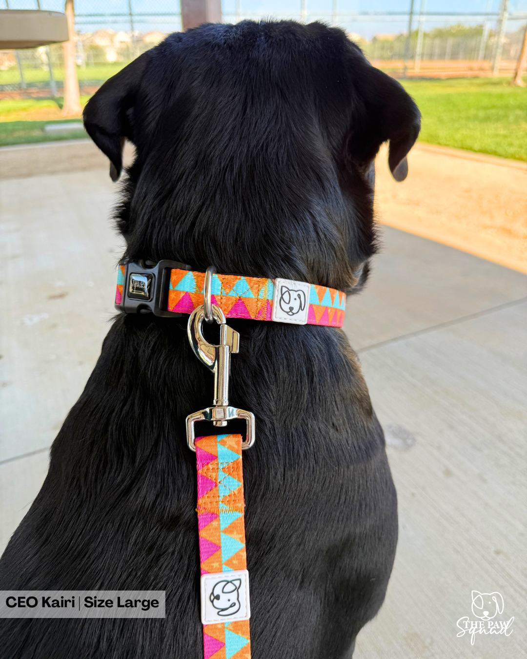 Platinum Star Dog Collar