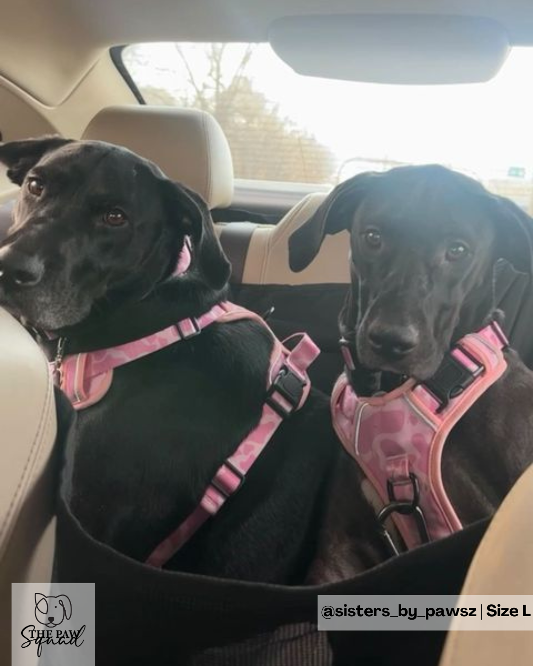 Strawberry Milk No Pull Harness