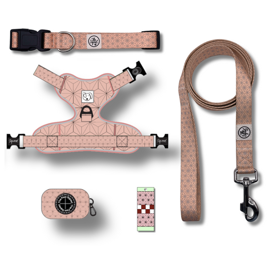 Pink Asanoha No Pull Harness Bundle *PREORDER*