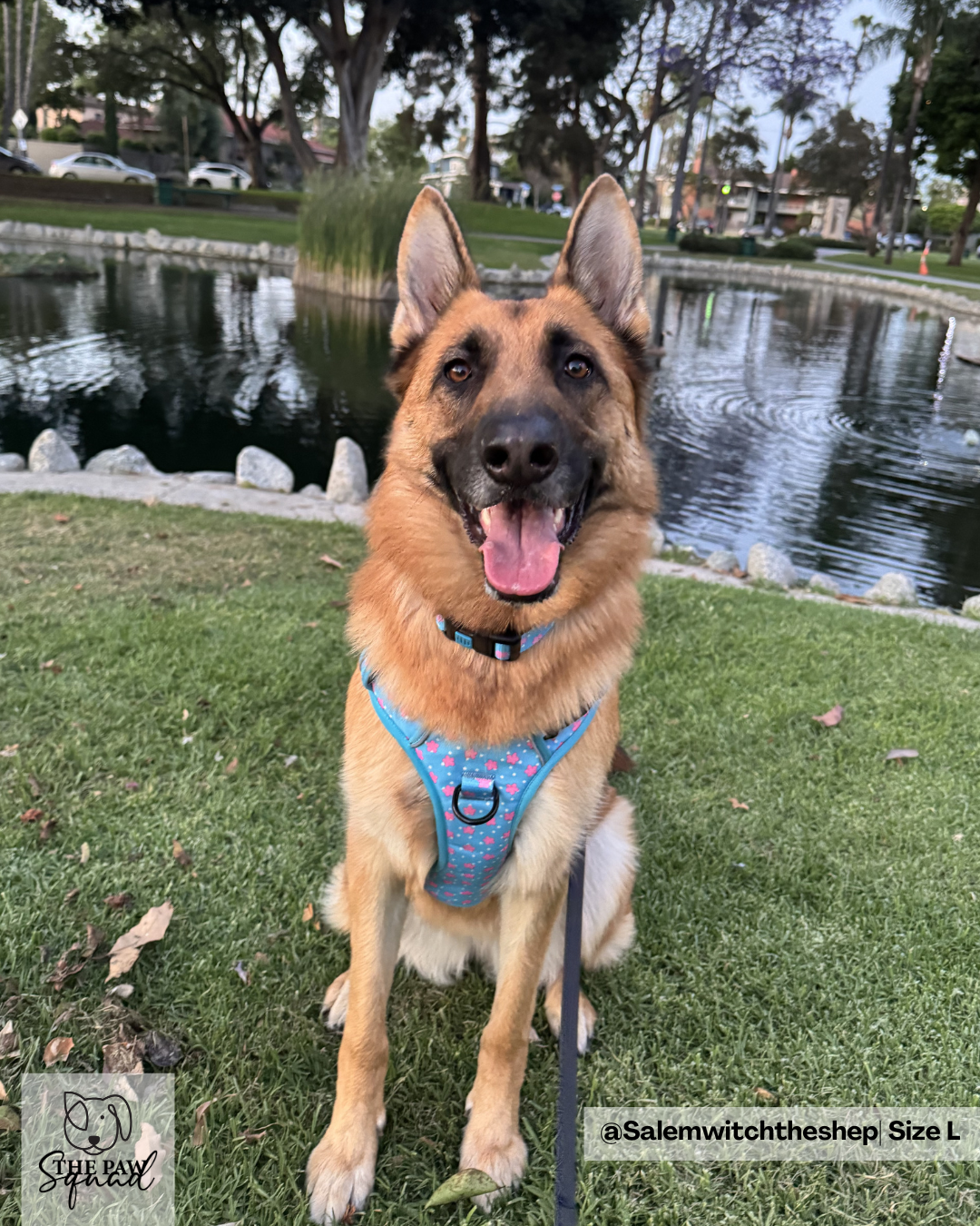 Sakura Flower No Pull Harness Bundle