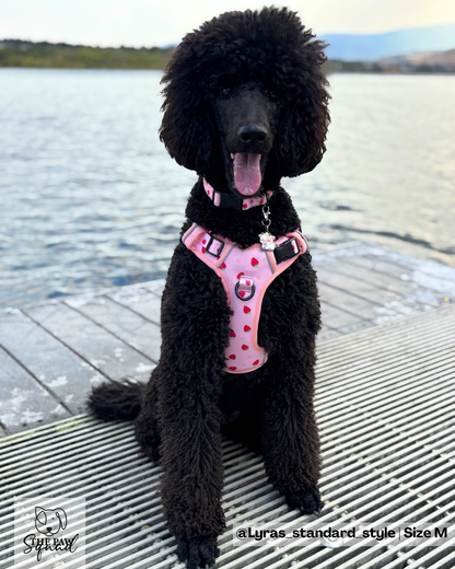 Strawberry Sweet No Pull Harness Bundle