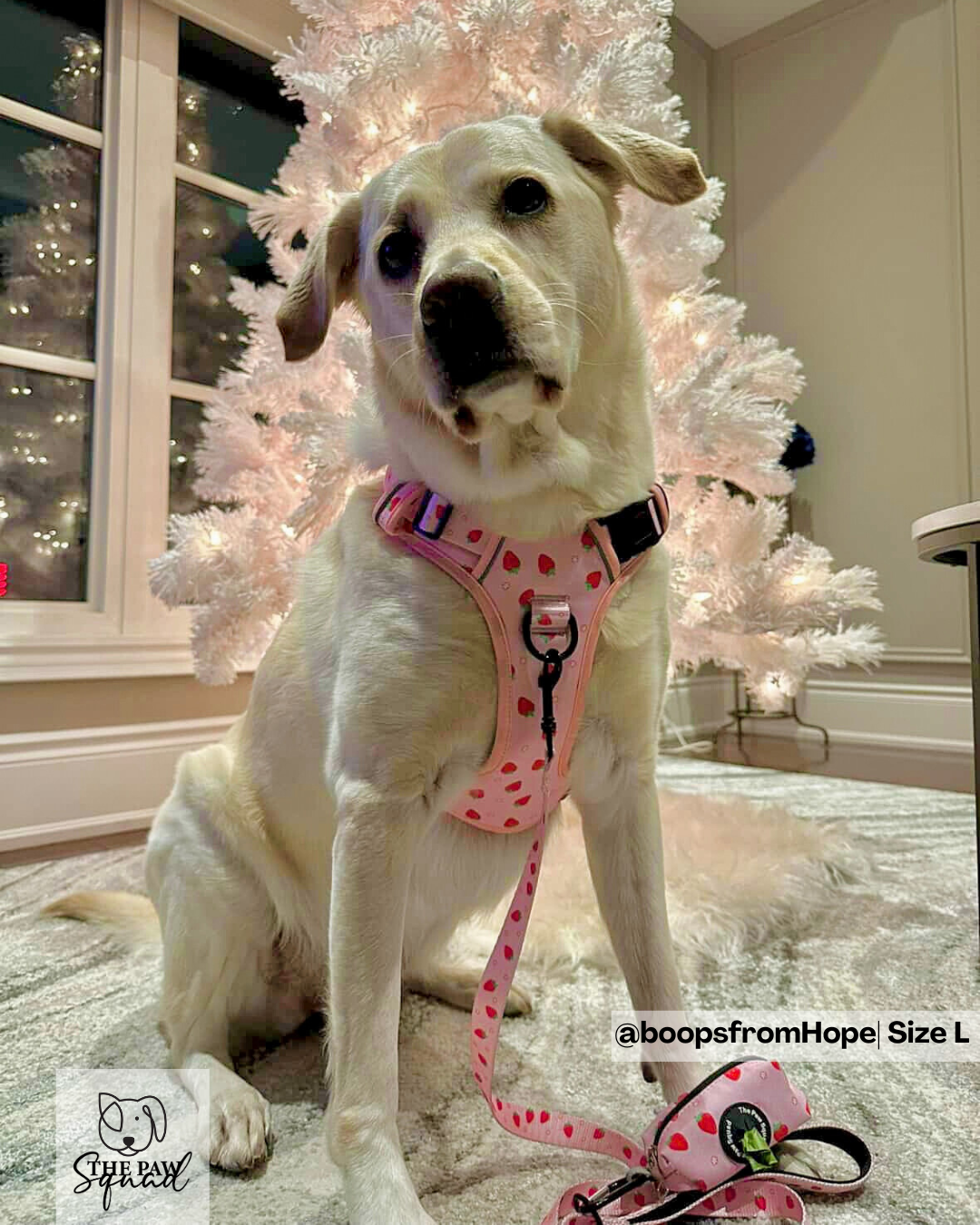 Strawberry Sweet No Pull Harness