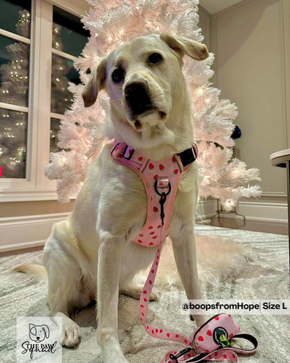 Strawberry Sweet No Pull Harness Bundle