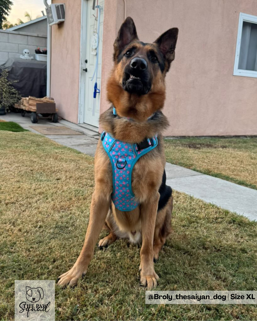 Sakura Flower No Pull Harness Bundle