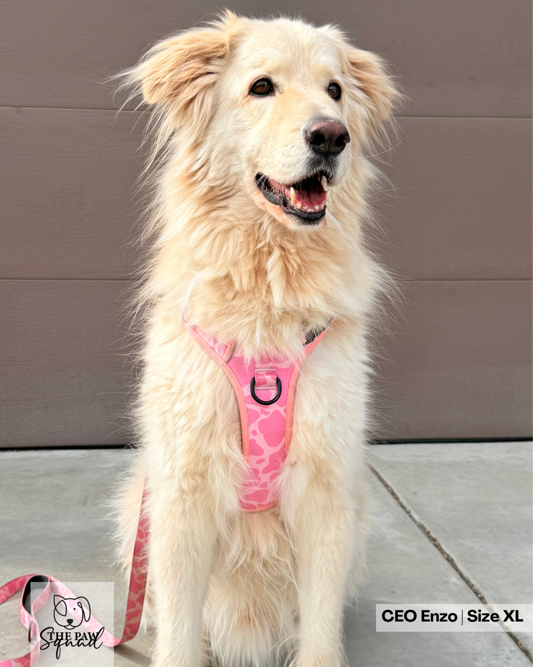 Strawberry Milk No Pull Harness