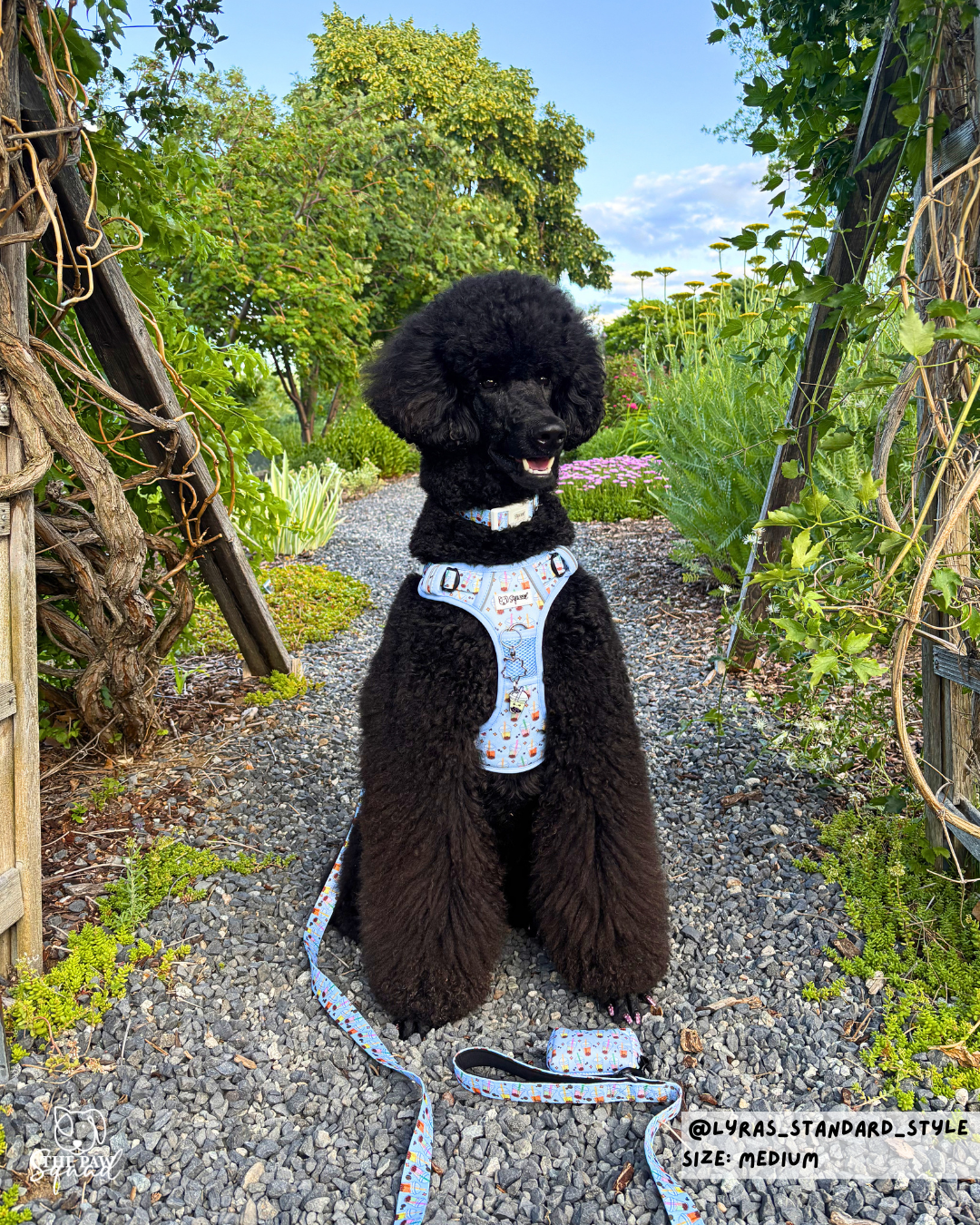 Totally Tapioca No-Pull Harness Bundle