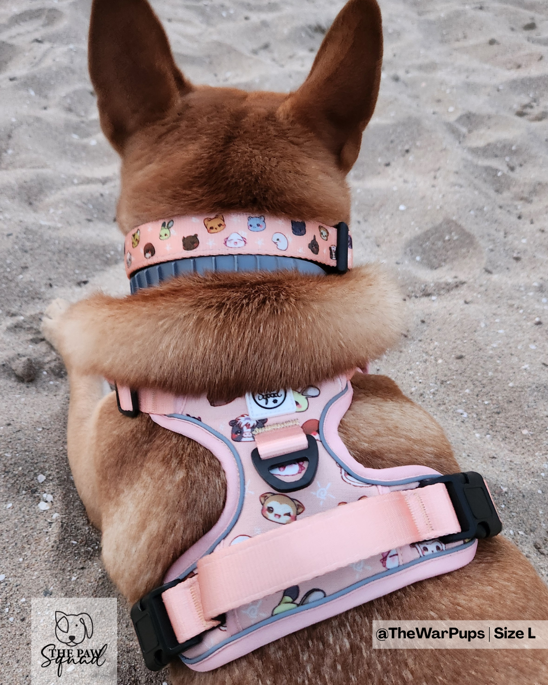 Zodiac No Pull Harness