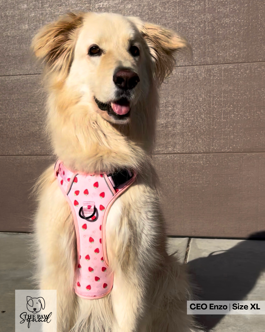 Strawberry Sweet No Pull Harness