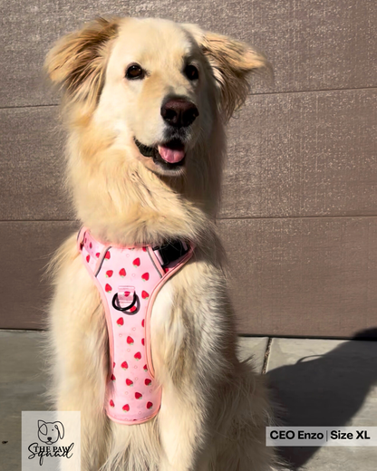 Strawberry Sweet No Pull Harness Bundle