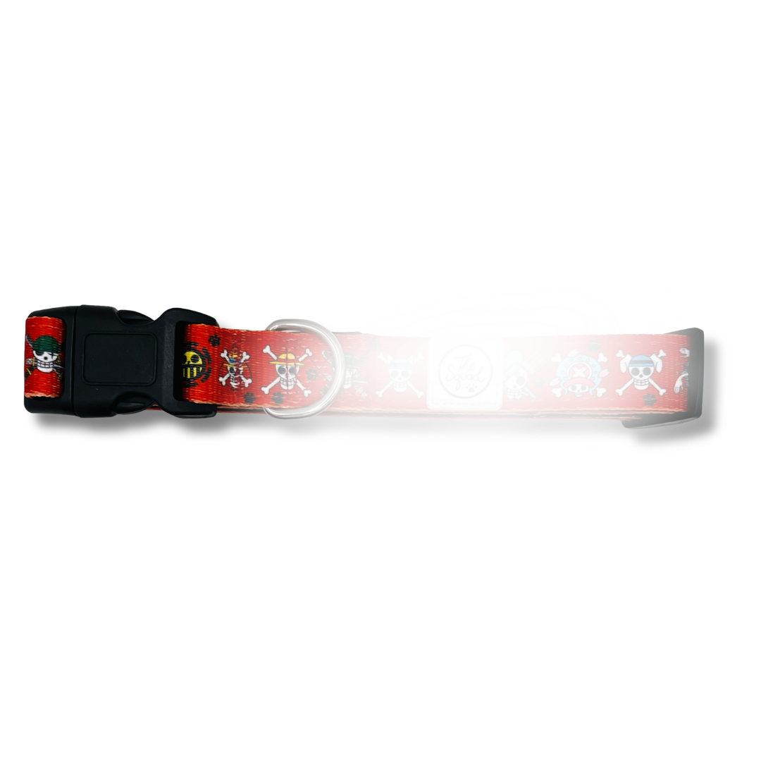 Pirate Hunter Dog Collar + Tag Bundle