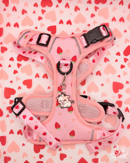 Strawberry Sweet No Pull Harness Bundle