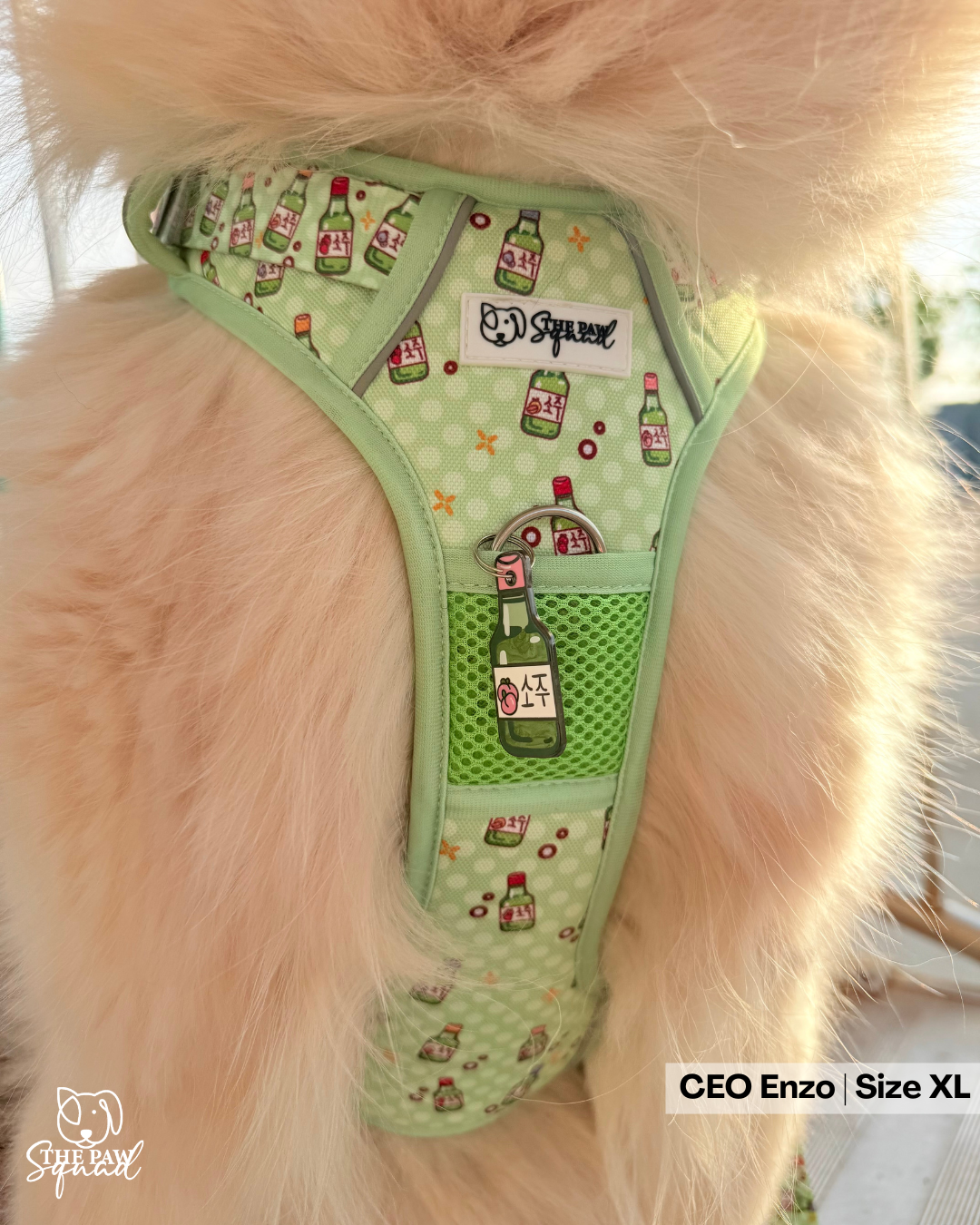 Soju Paws No Pull Harness