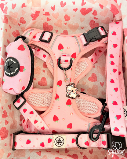 Strawberry Sweet No Pull Harness Bundle