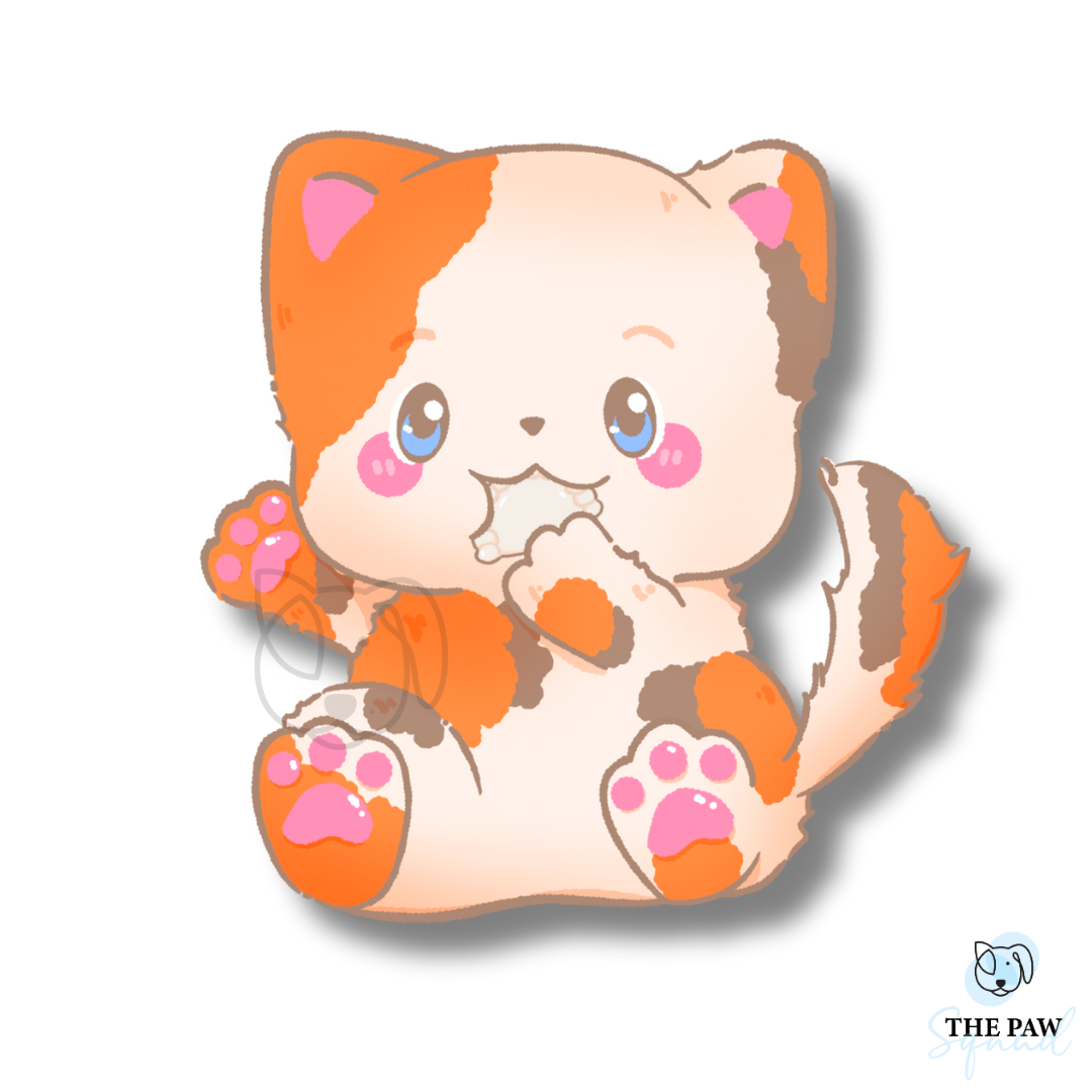 Dumpling Cat Sticker