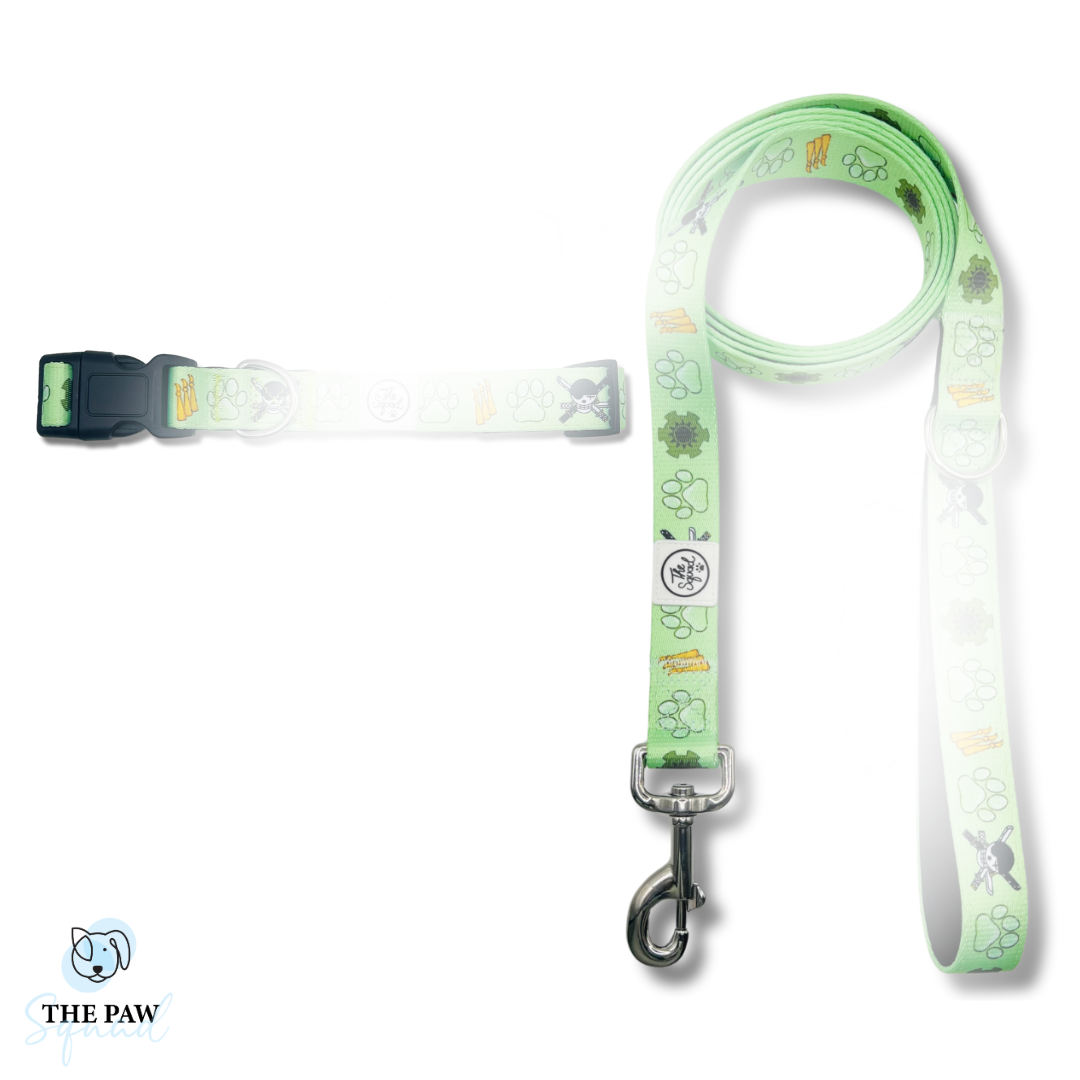 Pirate Hunter Dog Collar + Leash Bundle