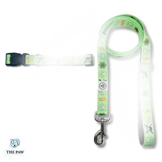 Pirate Hunter Dog Collar + Leash Bundle