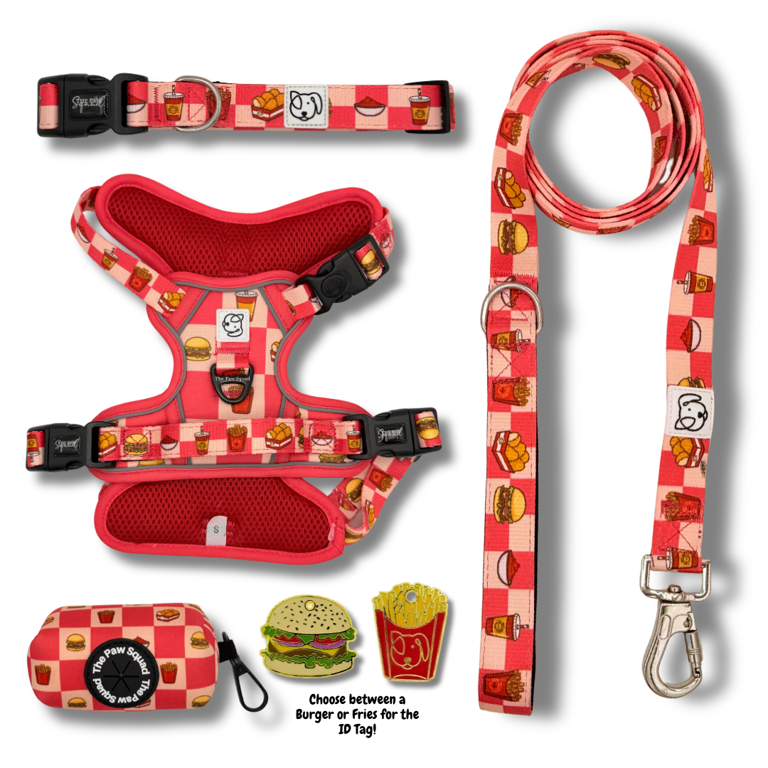 Paws n Patties No-Pull Harness Bundle